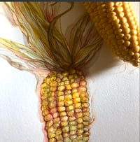 Image 3 of Sweetcorn