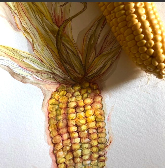 Sweetcorn