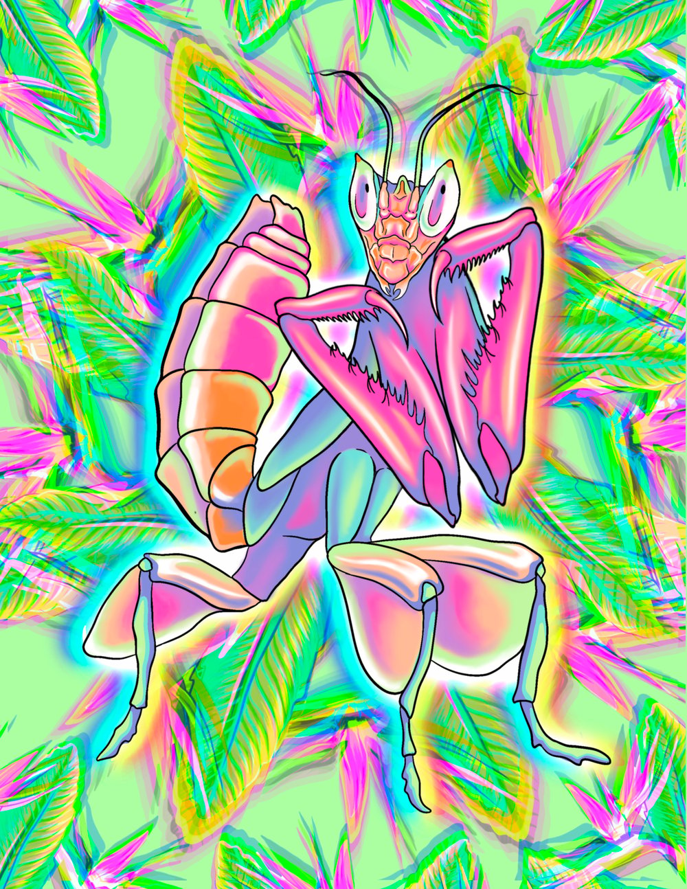 Image of Orchid Mantis - Print