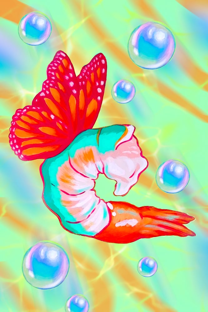 Image of Butterfly Shrimp - Print