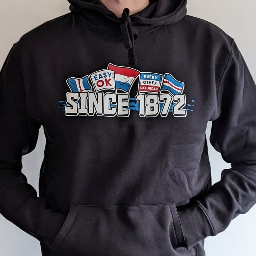 Image of Flags and Banners Hoody 