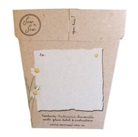 Image 2 of Chamonmile Gift of Seeds