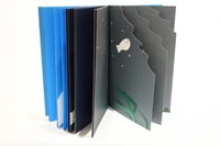 Image 3 of Pacu Pacu