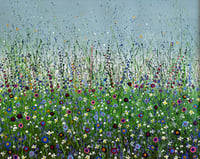 Image 1 of 'Jubilee Meadow'