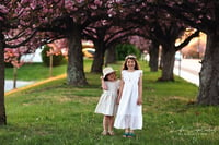 Image 2 of Golden Hour Cherry Blossom Session Friday April 29th