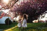 Image 3 of Golden Hour Cherry Blossom Session Friday April 29th