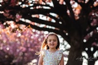 Image 5 of Golden Hour Cherry Blossom Session Friday April 29th