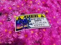 Image 4 of Holo Shiny Umbreon Warning Sticker!