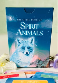 Image 1 of The Little Book & Little Deck of Spirit Animals  - Was £27.99  
