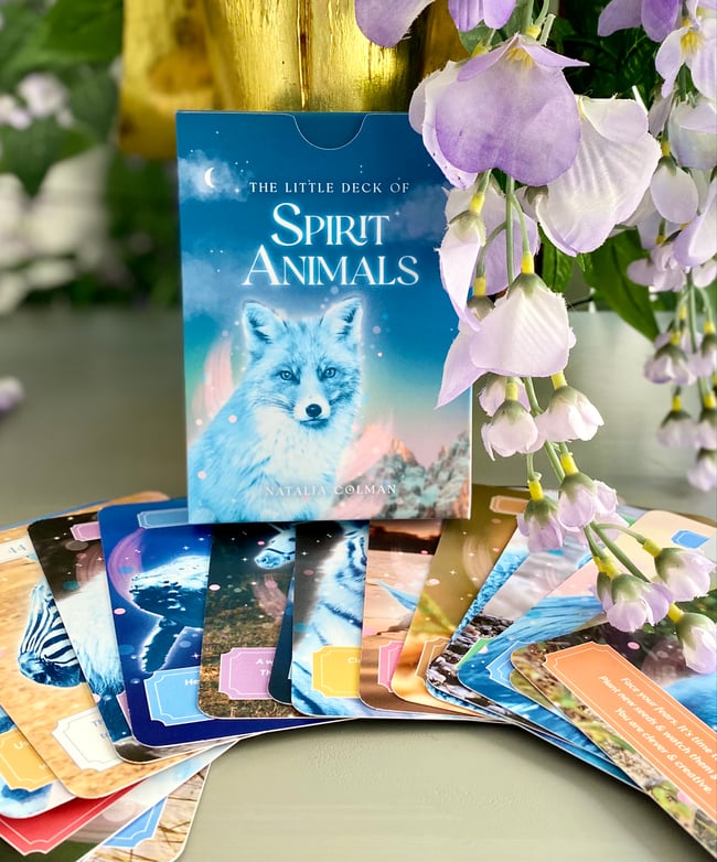 The Little Book & Little Deck of Spirit Animals - Was £27.99 | ANGEL LADY