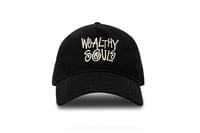 Wealthy Stussy Cap