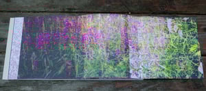 Image of Brilliant Silence