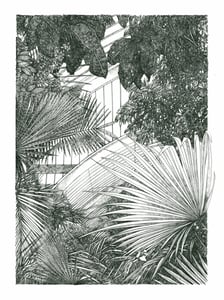 Image of Mini Kew Palmhouse #1