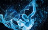 ONDAMED ADVANCED INTENSIVE COURSE AND MANUAL ONLINE