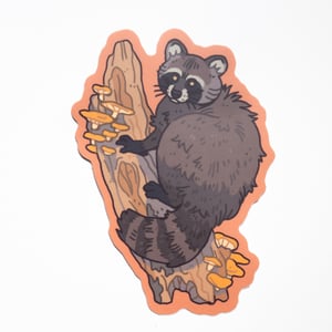 Raccoon sticker - vinyl sticker