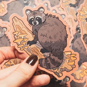 Raccoon sticker - vinyl sticker