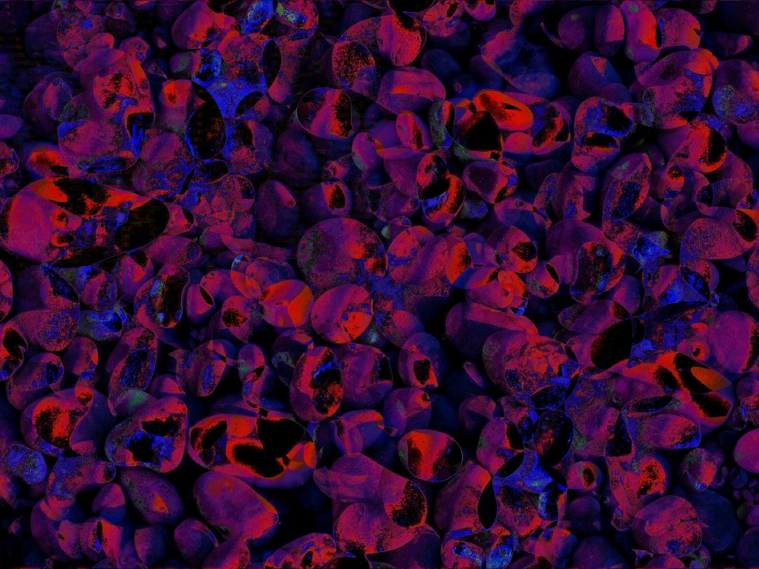 Image of Dorset Unseen 'The Cells'