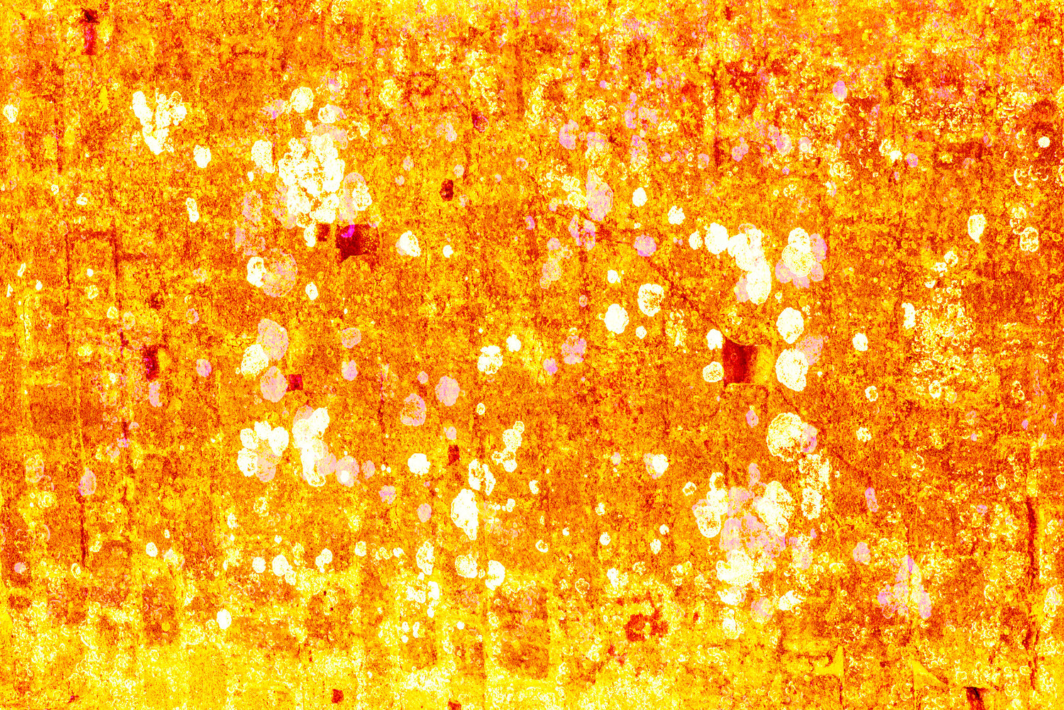 Image of Dorset Unseen 'Golden Rain'