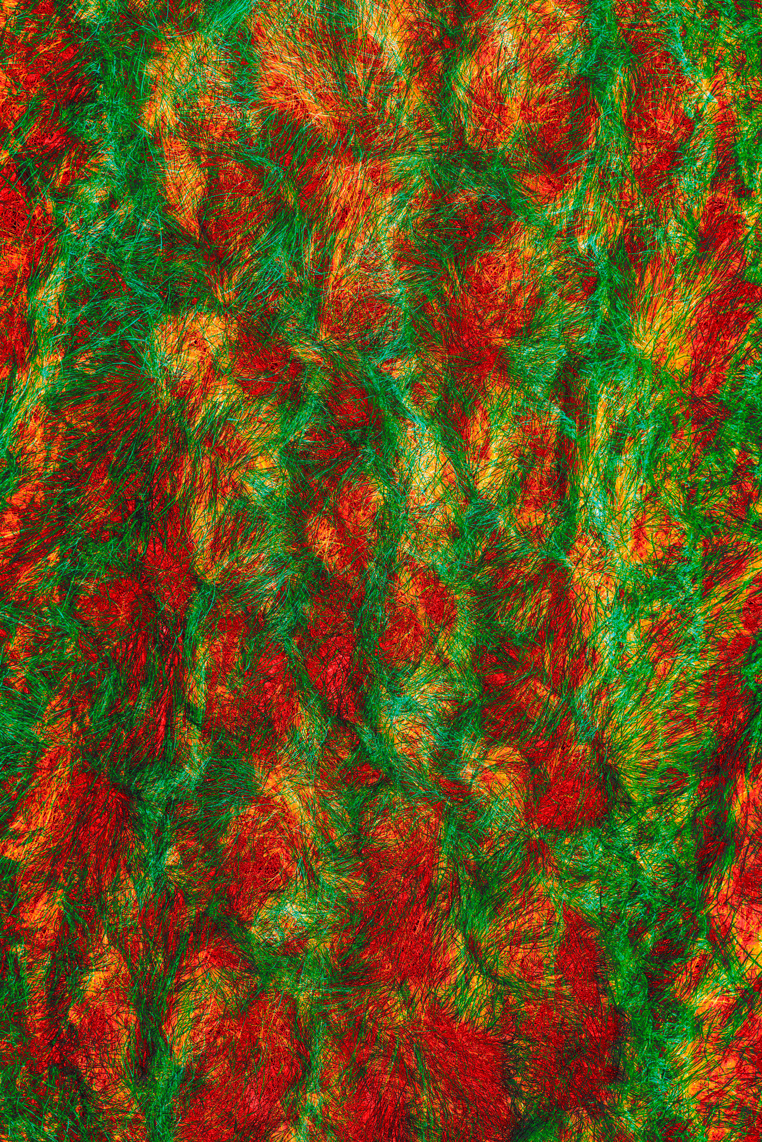 Image of Dorset Unseen 'Wild Fire'