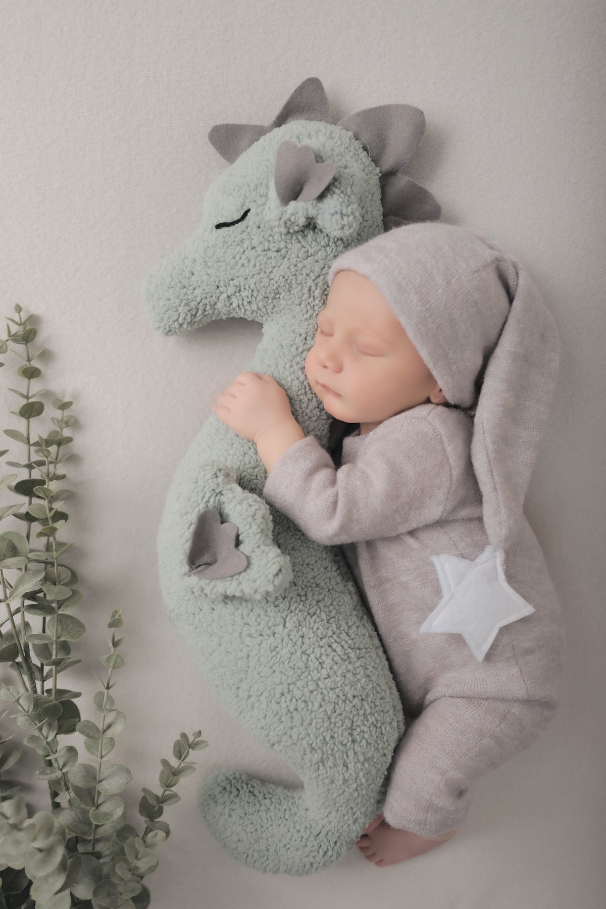 Seahourse newborn posing stuffed animal