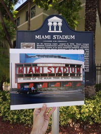 Image 1 of Miami Stadium Pro Mounted Print (11x14)