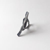 Image 4 of What Lies Beneath