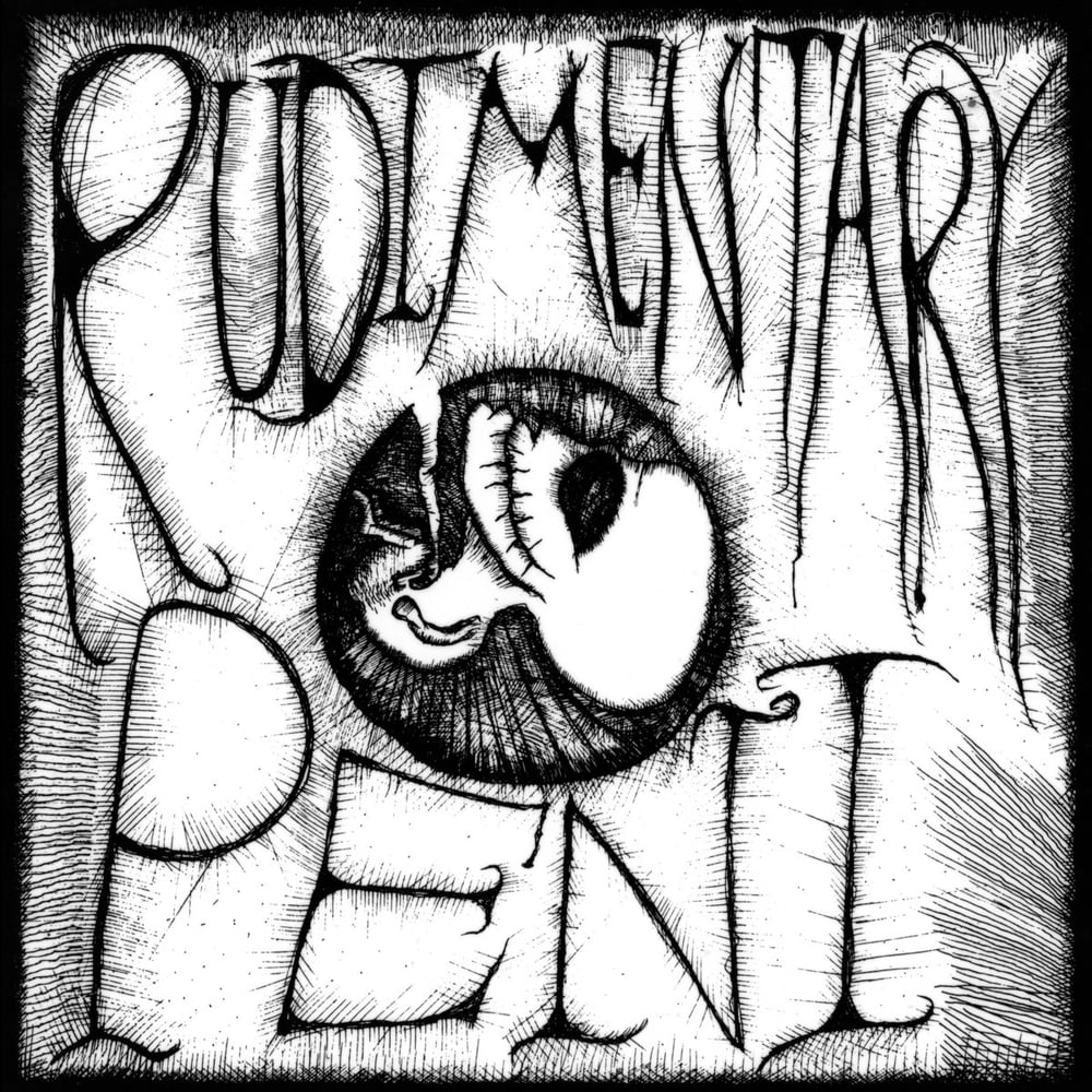 Image of RUDIMENTARY PENI - s/t 7"