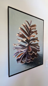 Image 4 of Long Leaf Pine Cone #3