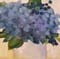 Image of Blue Hydrangeas