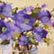 Image of Purple Floral