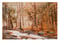 Image of Bama Backwoods