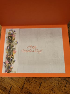 Image of Somebody's Blessing