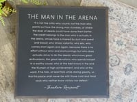 Image 2 of Man In The Arena.