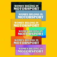 Image 1 of MOTORSPORT SLAPS