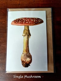 Image 4 of Vintage Mushroom Cards