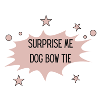 Image 1 of Dog Bow - Surprise Me