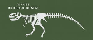 Image of Whose Dinosaur Bones?
