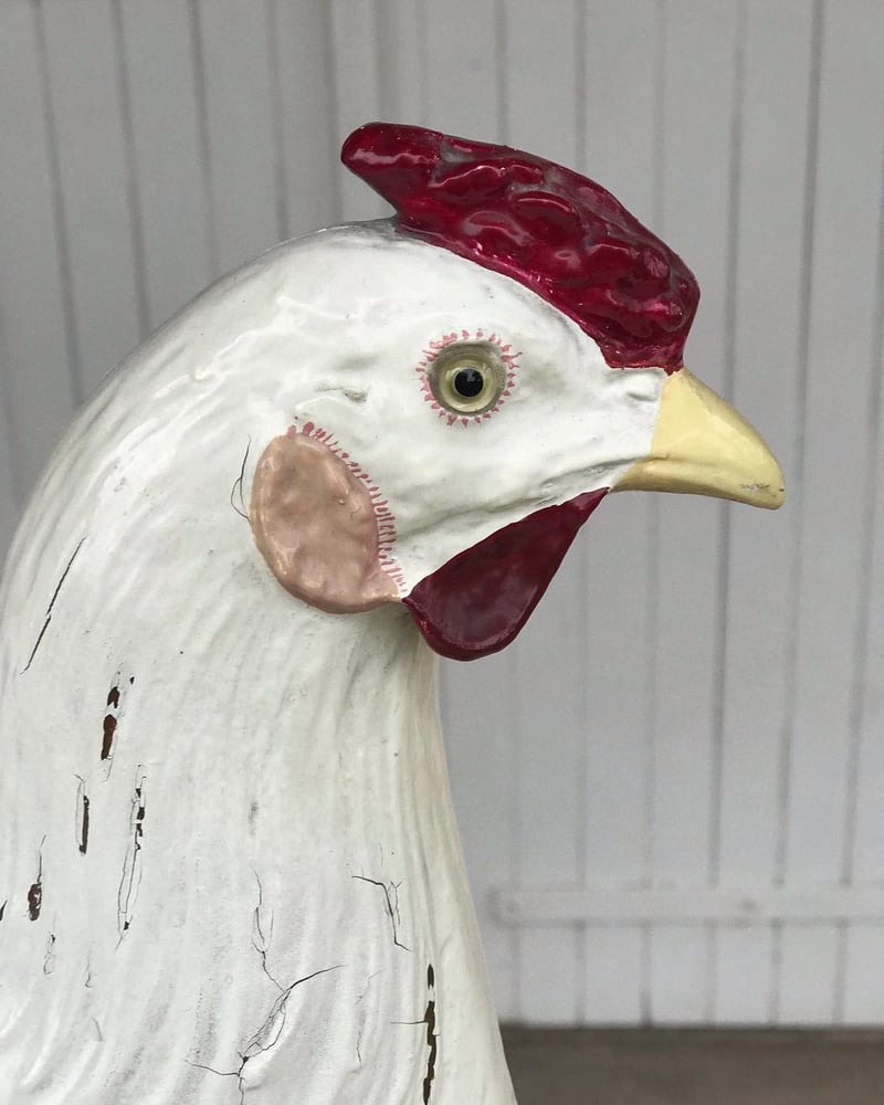Image of Belle et rare poule anatomique