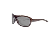 Image of Cosmos - Lizard king