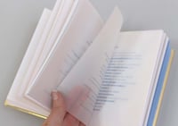 Image 2 of Saturnina - Elisabeth Pérez Fernández