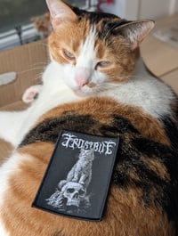 Image 4 of Frostbite - Cat