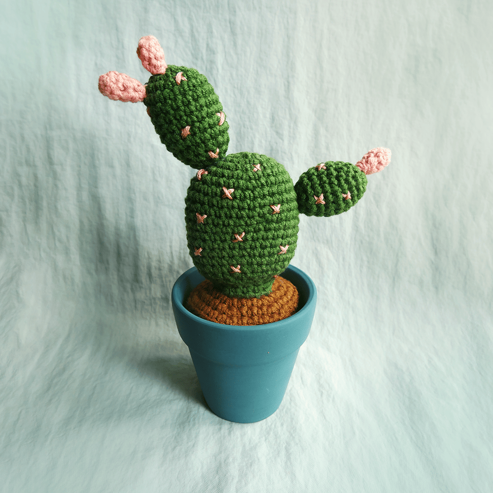 Image of Mini Plant: Bunny