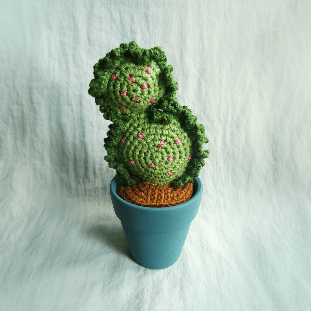Image of Mini Plant: Pickle