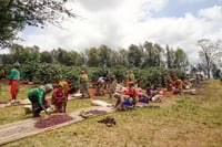 Image 2 of Tanzania Peaberry