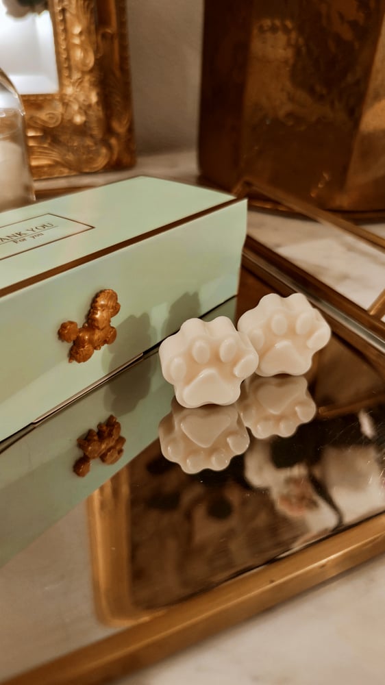 Image of Macarons Box 