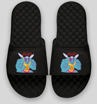 Image 4 of Gains | Slides