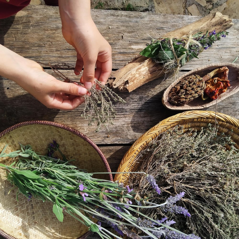 Image of Bruixes i herbes medicinals amb l'Aresta