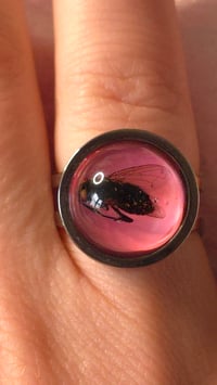 Image 3 of Fly ring pink