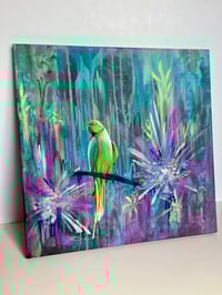 Image 1 of Parakeet street