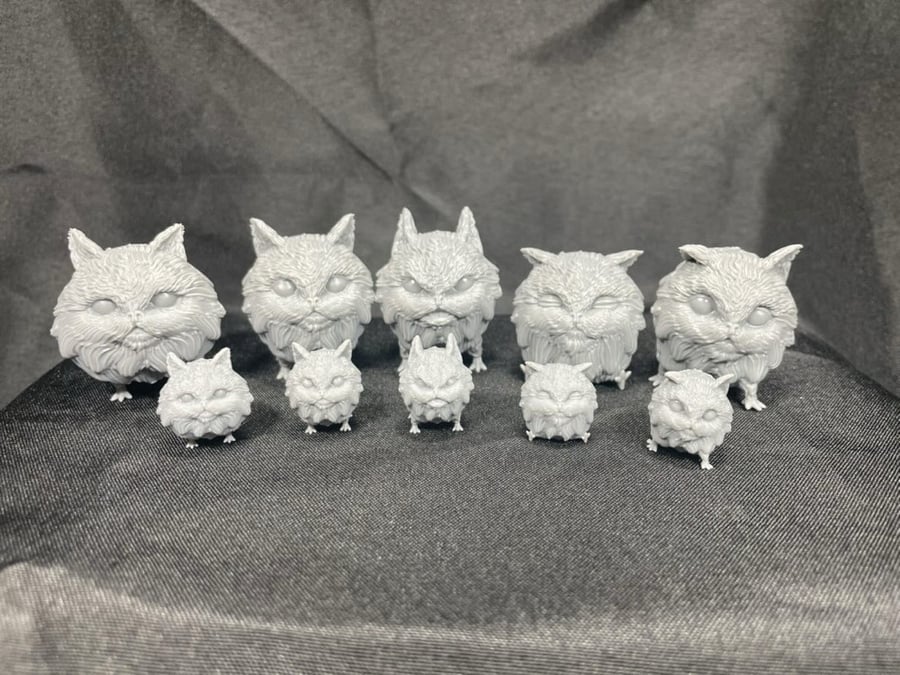 Image of Loth Kittens
